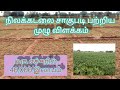 Groundnut Cultivation Nilakadalai Sagupadi In Tamil Kadalai Vivasayam Groundnut Cultivatio
