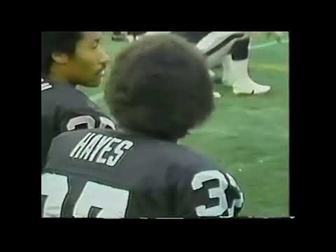 1980 RAIDERS @ CHARGERS (1-1-81) AFC CHAMPIONSHIP