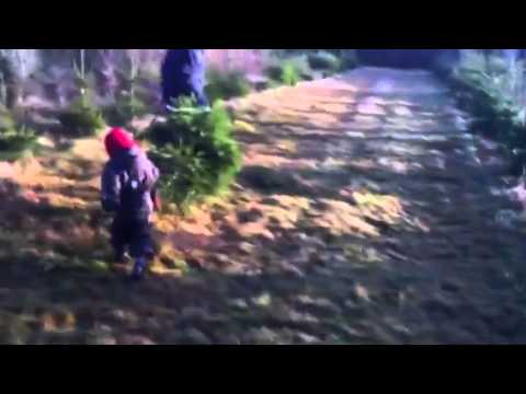 Anna henter juletræ