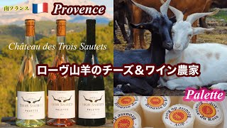 南フランス🇫🇷絶滅の危機から復活したローヴ山羊/最も生産量の少ないチーズ＆ワイン産地訪問