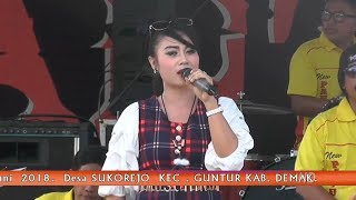 Download lagu Acha Kumala - pantai asmara - New PANTURA 20 Juni 2018 mp3