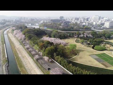 【旭川さくらみち・岡山後楽園】 2021桜 ～空旅時間～ 岡山市を感じるスカイウォーク