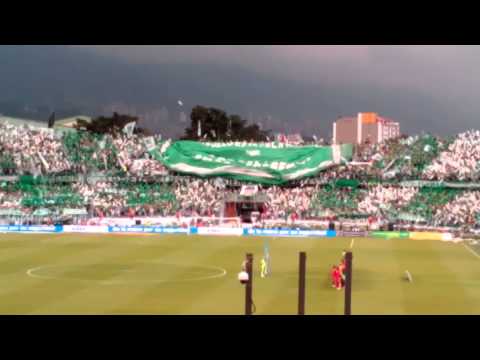 "Salida día del hincha verde #9" Barra: Los del Sur • Club: Atlético Nacional