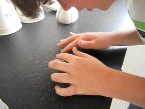 The Upside Down Tree Episode 1 | 'Pilot'