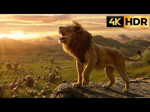 CUTE AWESOME ANIMALS VIDEO COMPILATION | 4K HDR | Flawless Animals