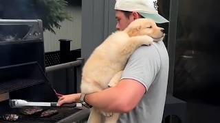 Dog Becomes Totally Obsessed With His Dad 😲 Funniest Dog Ever!