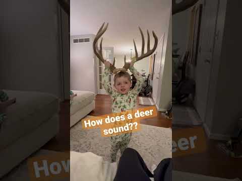 Deer Hunting #shprts #youtube #agriculture #youtubeshorts #fypシ #fun #kids #hunting #deer #country