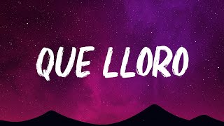 Sin Bandera - Que Lloro (Letra/Lyrics)