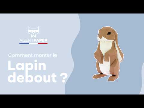 Lapin debout - vidéo de présentation