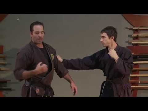 Gyokko Ryu Waza,  Danshu,  Bouncing Fist