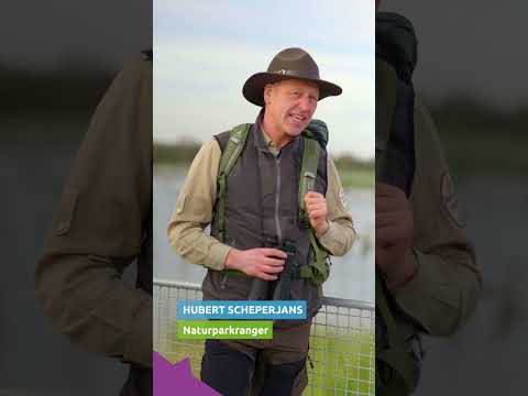 Schönste Erfahrungen am Theikenmeer