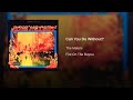 The Meters - Can You Do Without?