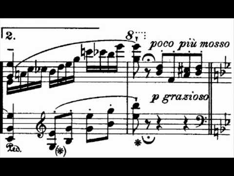 Hamelin plays Godowsky - Symphonic Metamorphosis on Die Fledermaus Audio + Sheet music