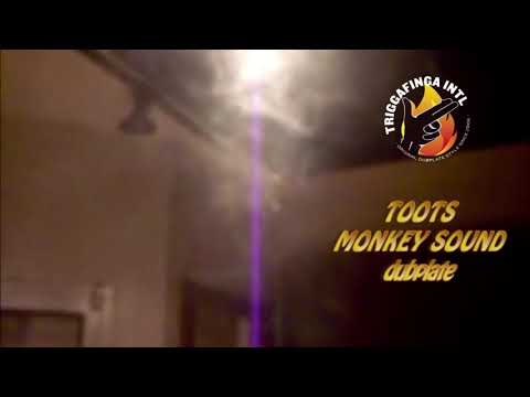 TOOTS (AND THE MAYTALS) - MONKEY SOUND Triggafinga Intl dubplate in the making