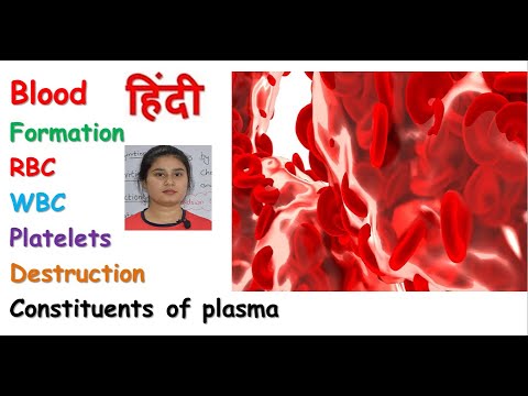 Blood anatomy & physiology in hindi || RBC || WBC || Platelets || composition of blood