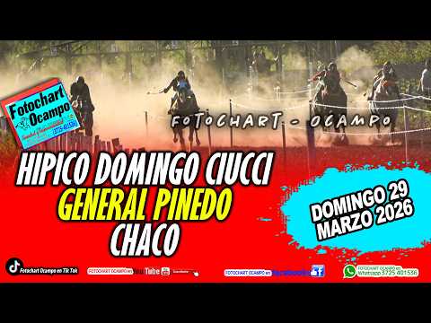 HÍPICO DOMINGO CIUCCI - GENERAL PINEDO- CHACO- Resumen de la Reunión del 29/03/2026