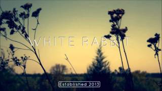 Tim Legend - Hope (Feat. BR/\VE)