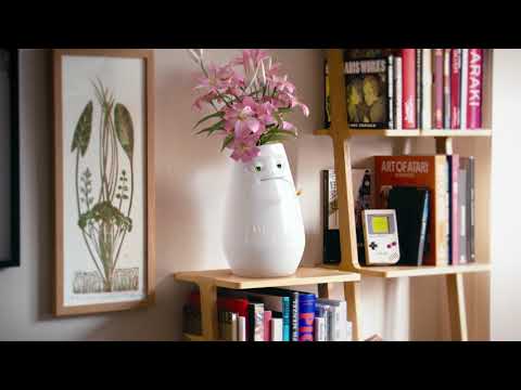 TASSEN - Wir ham' uns lieb!