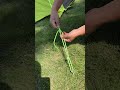 WOW, the BEST knot for Camping!