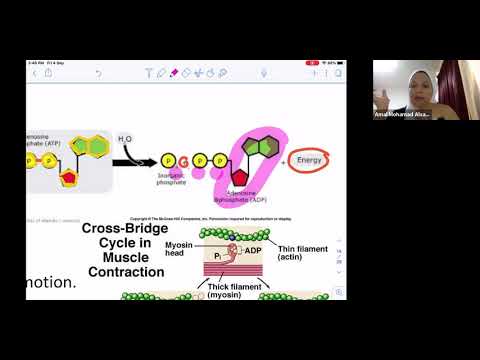 KUNI Bio 101 Chapter 6