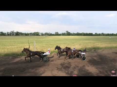 Trka "Memorijal Kemiveš Ferenc" 14.06.2020 Grumetti - Dejan Katanić