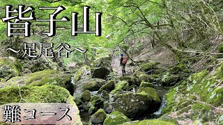 This is the most difficult course on the Kyoto mountain climbing route (Mt. Minako) and requires ...