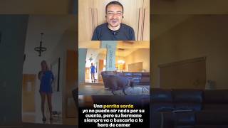 O cachorro era surdo e todos os dias seu irmão o chamava para comer #shorts
