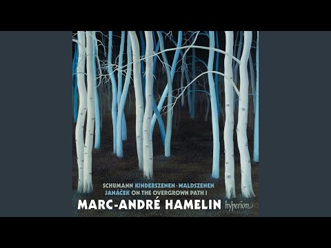 Janáček: On an Overgrown Path, JW VIII/17, Book 1: X. The Barn Owl Has Not Flown Away