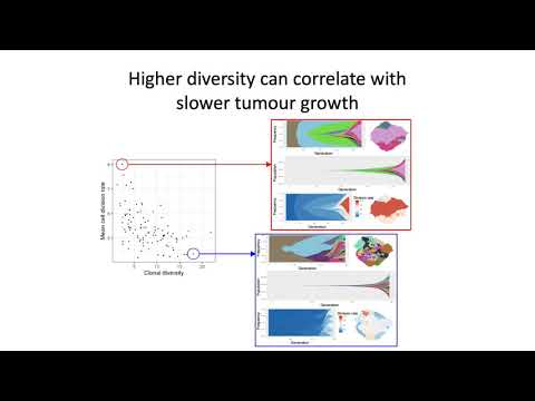 When, why and how tumour clonal diversity predicts survival