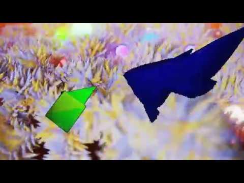 STRAY HAWK Micro Dreams