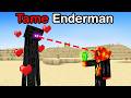 Breaking 100 Minecraft Laws In 24 Hours