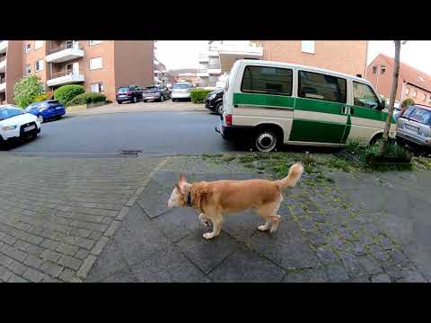 Moers, West 01.05.2021