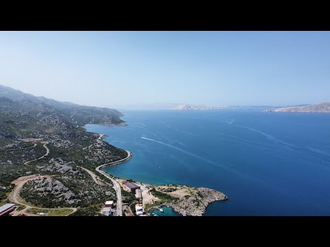 Video Image