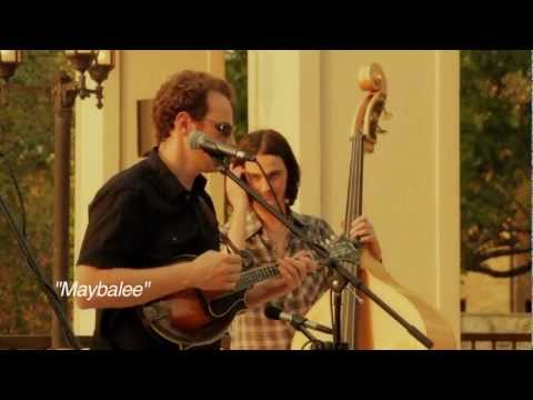 The Lost Pines - Maybalee (live)