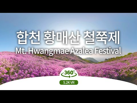 [5.2K VR] 합천 황매산 철쭉제 l Hapcheon Hwangmae Mountain Azalea Festival