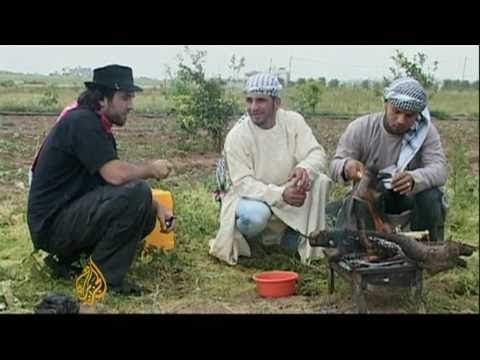 Kidnapped Italian activist killed in Gaza