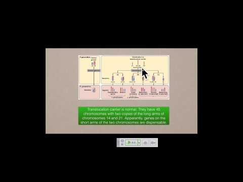 Genetics A Conceptual Approach: Chapter 8 pt 2 and Chapter 9 pt 1
