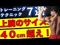 軽い重さで上腕40cm超える!誰でもできる筋トレテクニック7選【上腕三頭筋】