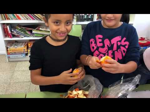 Vídeo Colegio Ciutat Comtal