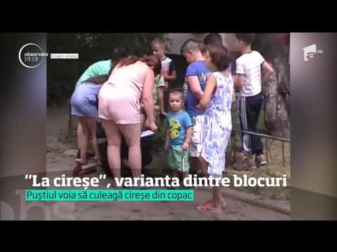 Scena "La Cireşe", varianta dintre blocuri. Peripeţia unui puşti din Bacău s-a încheiat prost