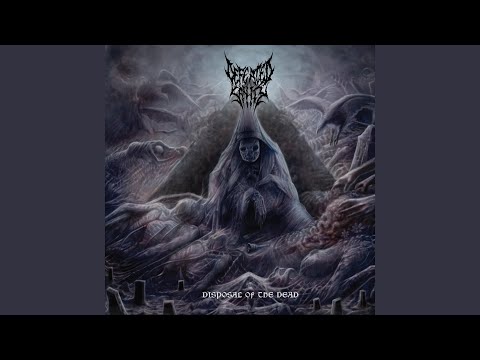 Dharmata - Defeated Sanity