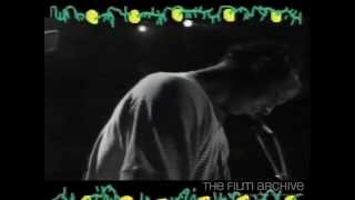 The Clean - Drawing To A Whole (Music Video)