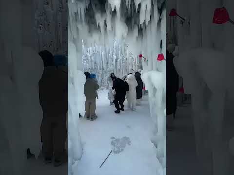 Kashmir #travel #nature #snow #reels # vlog #pahalgam