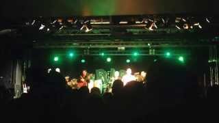 Mariachi El Bronx - Wildfires