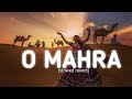 O MAHRA (slowed reverb) | Lofi Beatz |