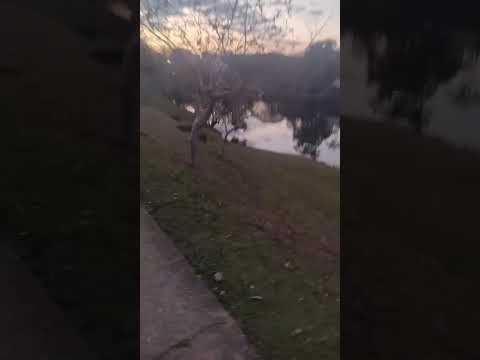 A Natureza mostrando sua face em Viçosa Minas Gerais.