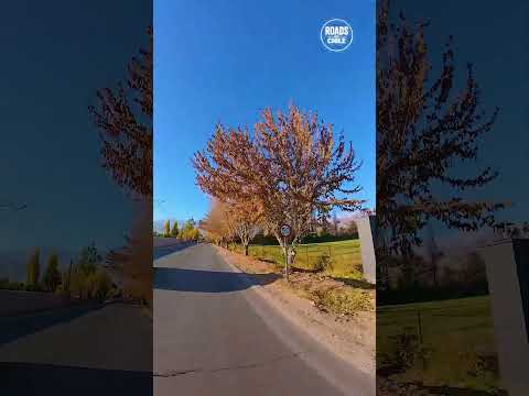 Paisajes de Chile 🏔️San Esteban 2