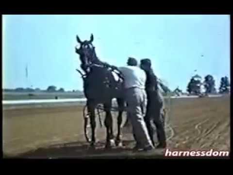 1963 DuQuoin State Fair FLORLIS Hambletonian 1st Heat Harry Pownall