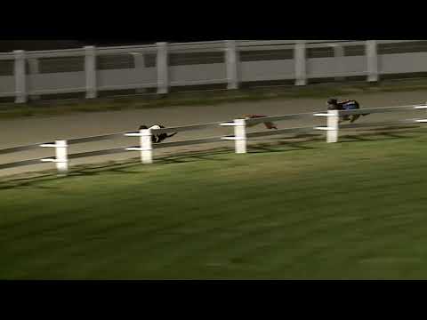 2021.06.25. 04. futam - Kincsem Park Magyar Derby Elődöntő I. futam