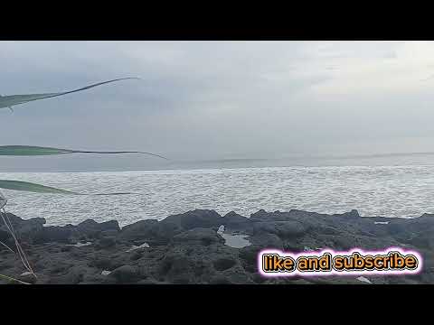 TALUH GORENG ADE HASIL